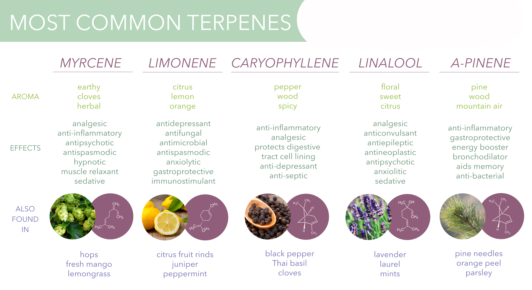 What are Terpenes? Vape Natural Herbs